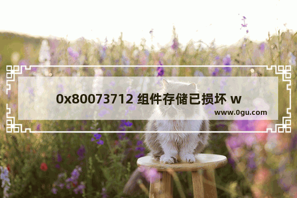 0x80073712 组件存储已损坏 win10,win7 0x80073712组件损坏