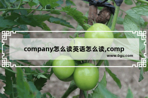 company怎么读英语怎么读,company是什么意思英语怎么读