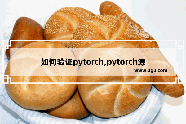 如何验证pytorch,pytorch源码怎么看