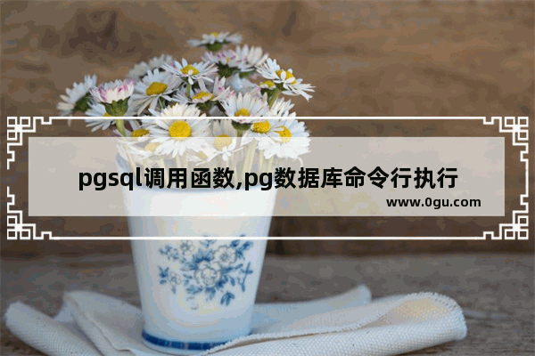 pgsql调用函数,pg数据库命令行执行sql语句