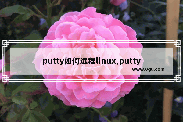 putty如何远程linux,putty执行命令