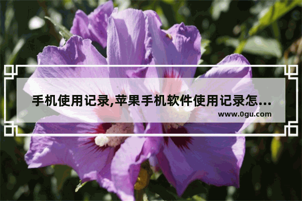 手机使用记录,苹果手机软件使用记录怎么查,苹果手机软件用时记录