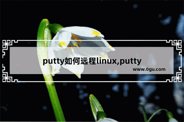 putty如何远程linux,putty执行命令