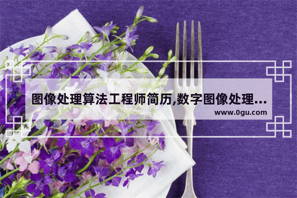 图像处理算法工程师简历,数字图像处理算法工程师