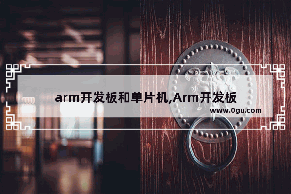 arm开发板和单片机,Arm开发板