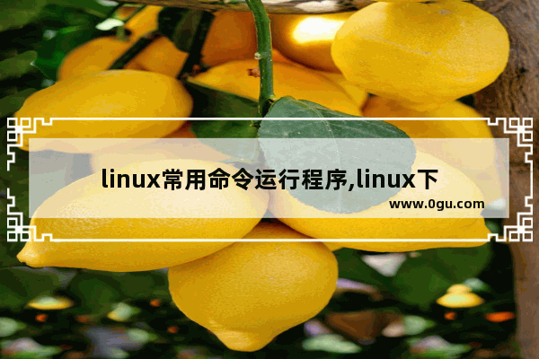 linux常用命令运行程序,linux下运行程序