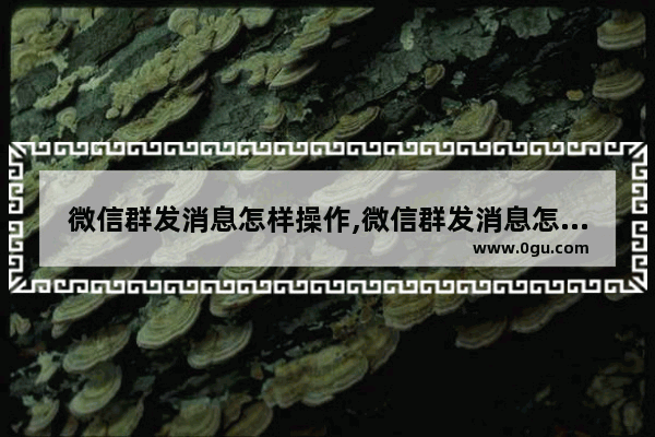 微信群发消息怎样操作,微信群发消息怎么操作 