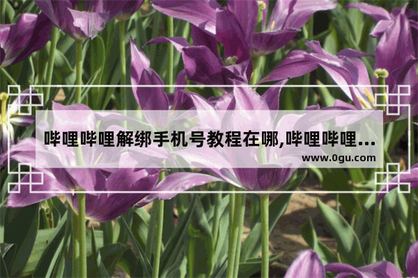 哔哩哔哩解绑手机号教程在哪,哔哩哔哩怎么解绑手机号