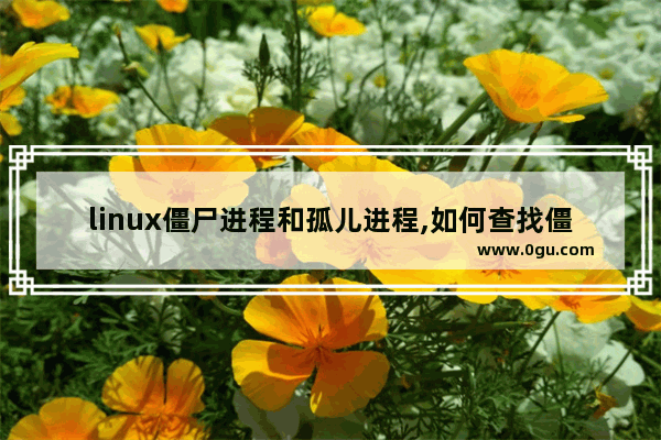 linux僵尸进程和孤儿进程,如何查找僵尸进程数据,linux 查找僵尸进程