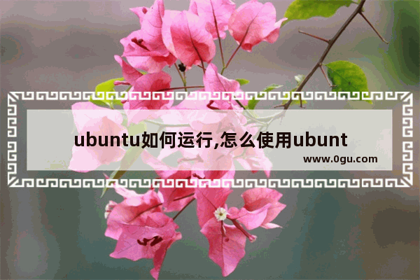 ubuntu如何运行,怎么使用ubuntu系统