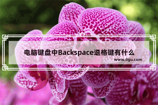 电脑键盘中Backspace退格键有什么作用?