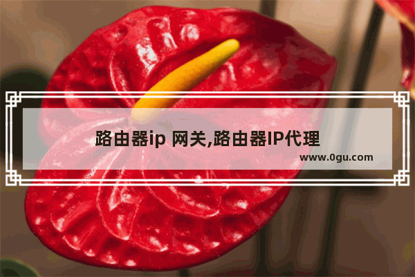 路由器ip 网关,路由器IP代理