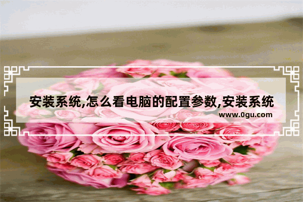 安装系统,怎么看电脑的配置参数,安装系统,怎么看电脑的配置和型号