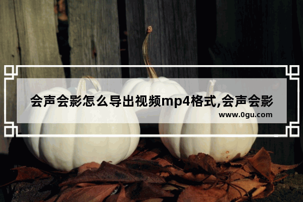 会声会影怎么导出视频mp4格式,会声会影可以导出mp3格式吗