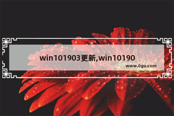 win101903更新,win101903更新了啥内容