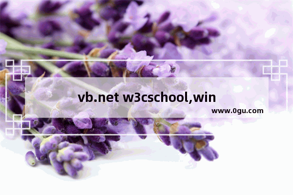vb.net w3cschool,windows vb