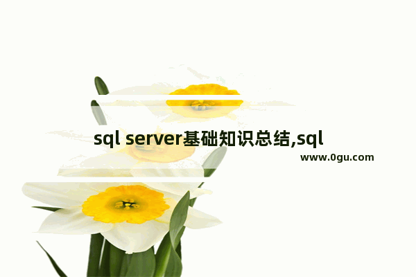 sql server基础知识总结,sql server的使用方法