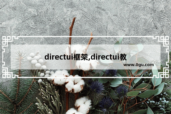 directui框架,directui教程