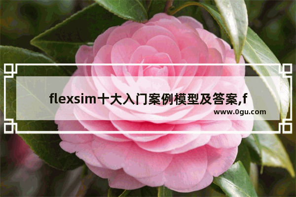 flexsim十大入门案例模型及答案,flexa编程