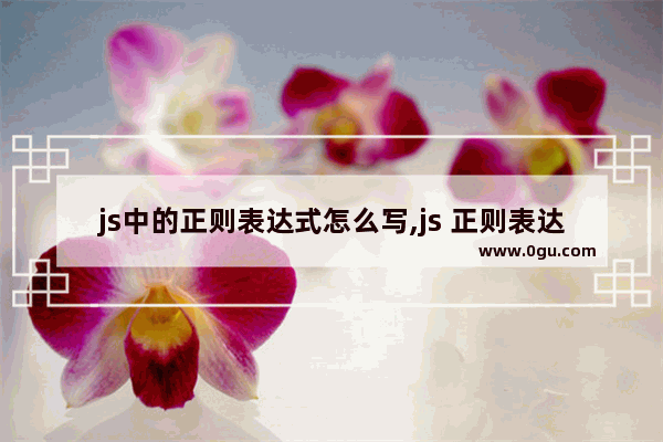 js中的正则表达式怎么写,js 正则表达