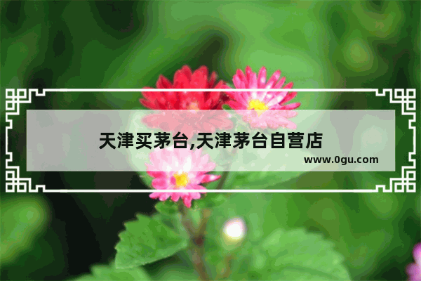 天津买茅台,天津茅台自营店