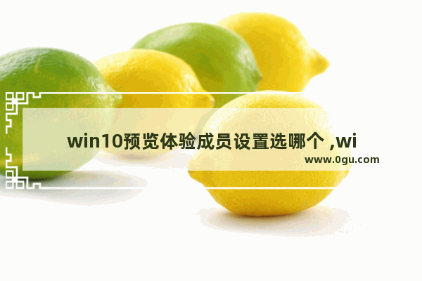 win10预览体验成员设置选哪个 ,windows预览体验成员设置选哪个