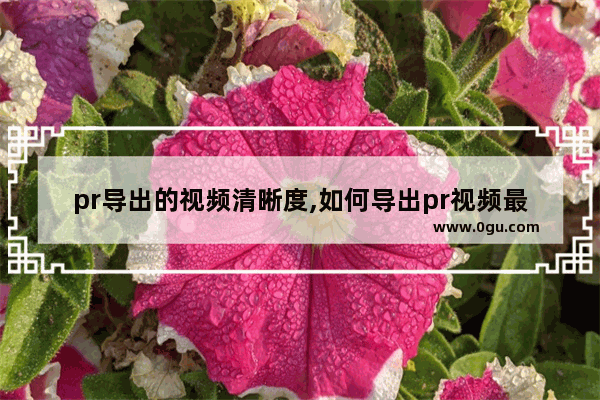 pr导出的视频清晰度,如何导出pr视频最清晰