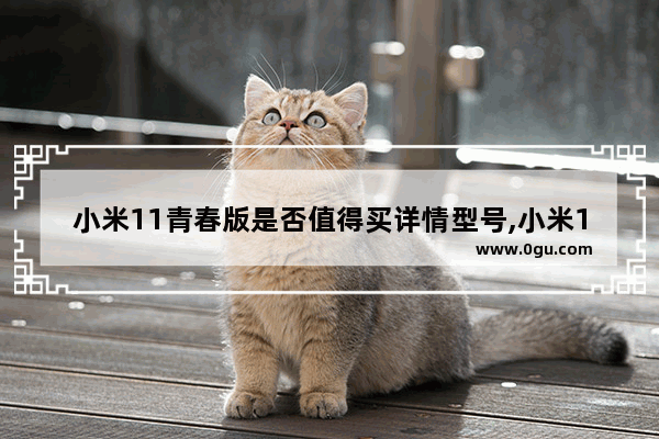 小米11青春版是否值得买详情型号,小米11青春版值得买么