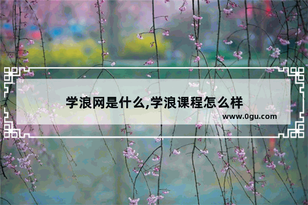 学浪网是什么,学浪课程怎么样