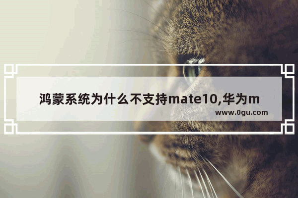 鸿蒙系统为什么不支持mate10,华为mate10可以用鸿蒙系统吗