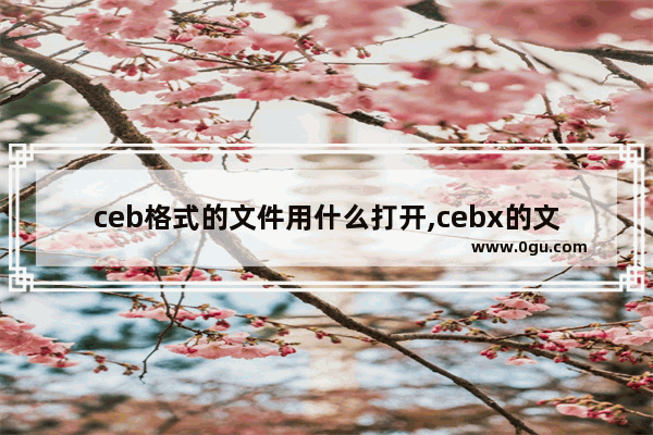 ceb格式的文件用什么打开,cebx的文件电脑用什么打开