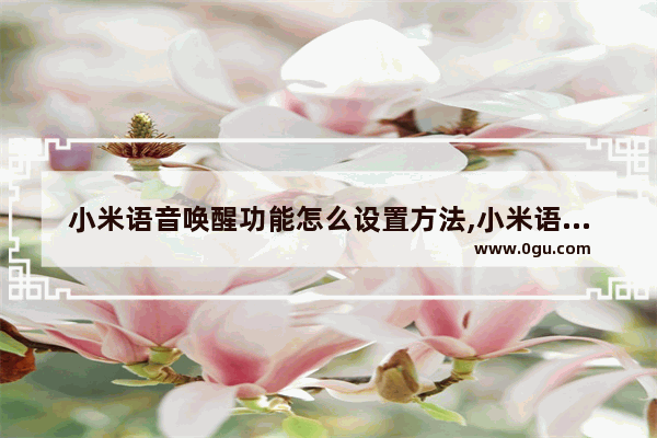 小米语音唤醒功能怎么设置方法,小米语音唤醒功能怎么设置找手机