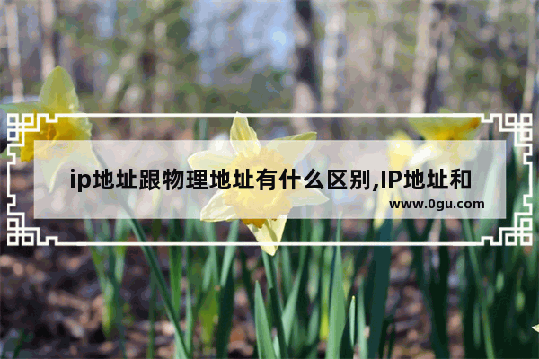 ip地址跟物理地址有什么区别,IP地址和物理地址的区别