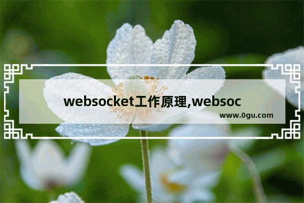 websocket工作原理,websocket 详解