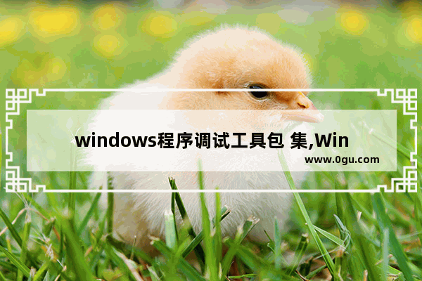 windows程序调试工具包 集,Windows程序调试