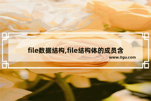 file数据结构,file结构体的成员含义