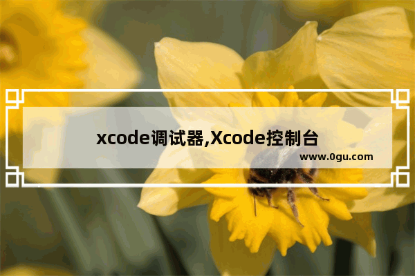 xcode调试器,Xcode控制台