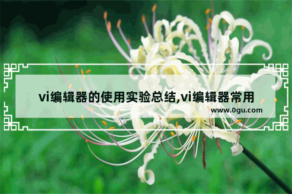 vi编辑器的使用实验总结,vi编辑器常用操作