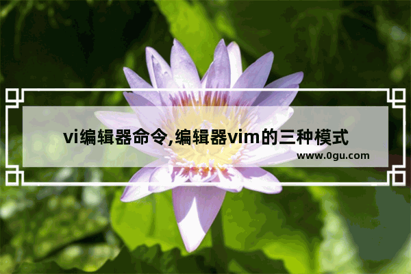 vi编辑器命令,编辑器vim的三种模式