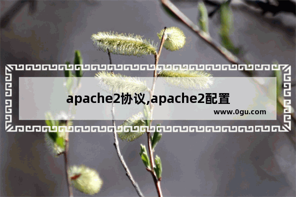 apache2协议,apache2配置