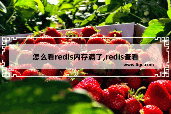 怎么看redis内存满了,redis查看内存大小