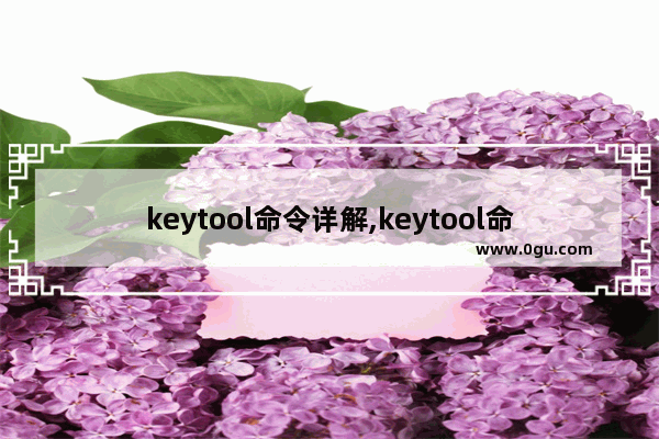 keytool命令详解,keytool命令