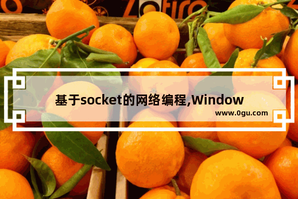 基于socket的网络编程,Windows socket