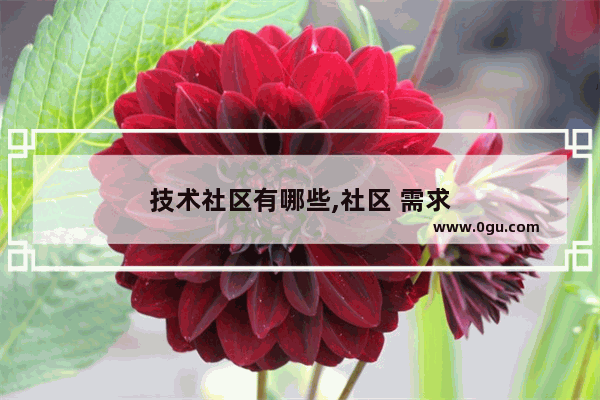 技术社区有哪些,社区 需求