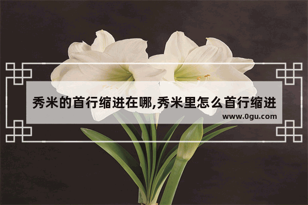 秀米的首行缩进在哪,秀米里怎么首行缩进