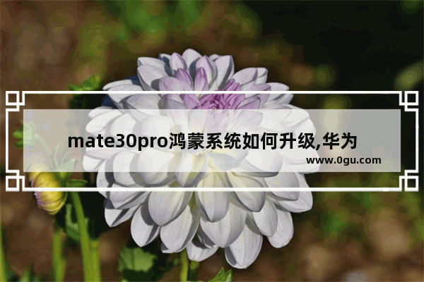 mate30pro鸿蒙系统如何升级,华为mate30pro升级鸿蒙系统时间