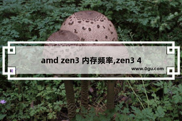 amd zen3 内存频率,zen3 4内存