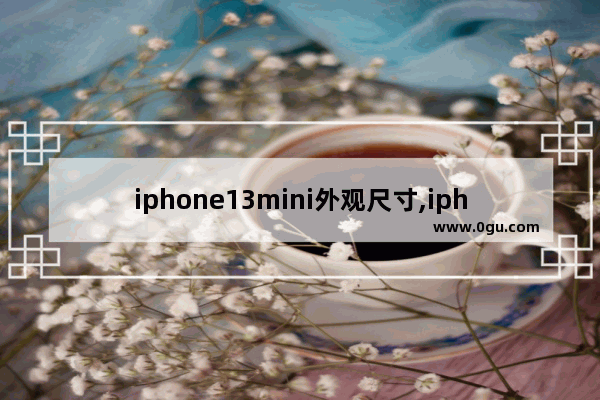 iphone13mini外观尺寸,iphone13mini尺寸参数