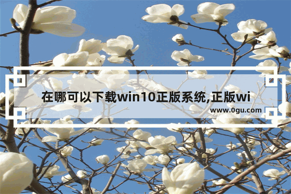 在哪可以下载win10正版系统,正版win10在哪里下载软件