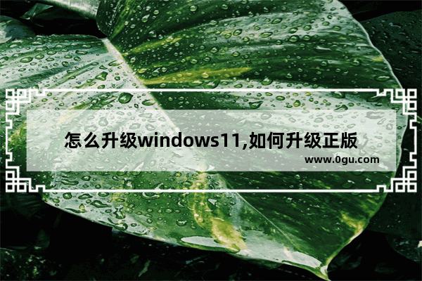 怎么升级windows11,如何升级正版win11